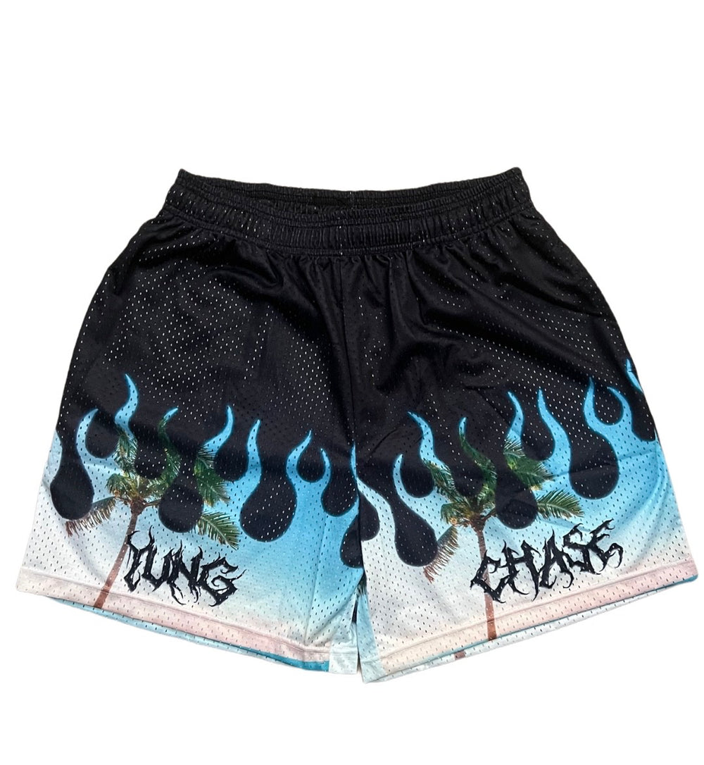 ZYC Mesh Shorts (Palm Tree)